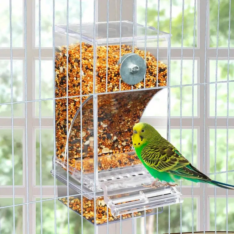 Automatic Bird Feeder