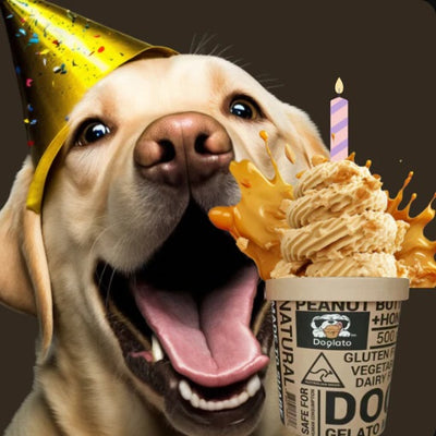 Birthday Cake Mix Doglato