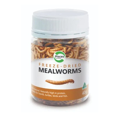 Freeze dried Mealworm