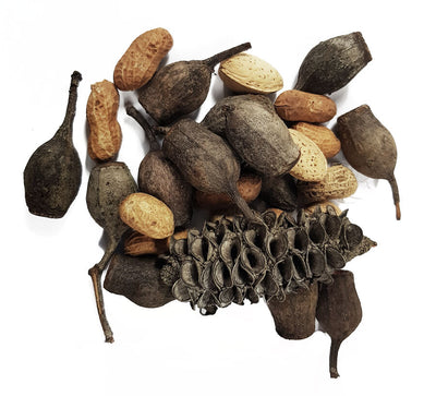 Mixed Foraging Nuts Pack