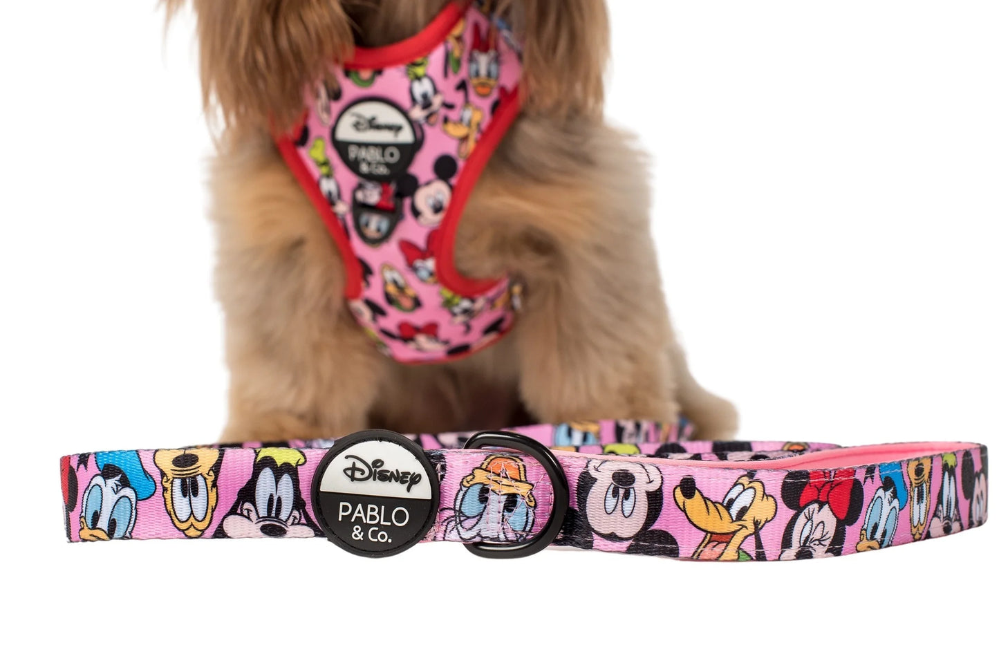 Mickey & Friends Pink Dog Leash