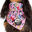 Mickey & Friends Dog Bandana