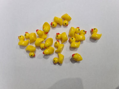 Mini Ducks