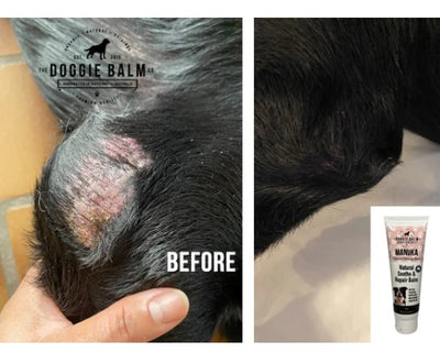 DoggieBalm Manuka