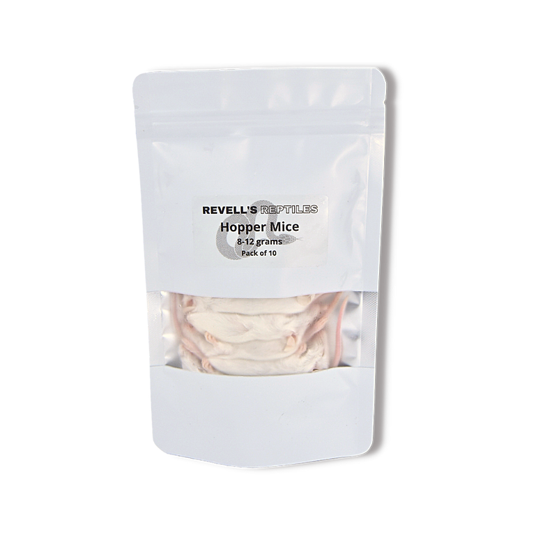 Hopper Mice (8-12 gms) 10 pk Pick up only.