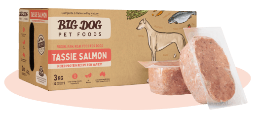 Big Dog Raw Dog Food - Tassie Salmon