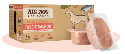 Big Dog Raw Dog Food- Tassie Salmon