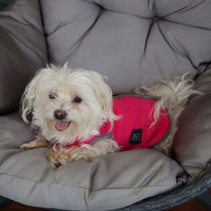 Zeez Cozy Fleece Dog Vest