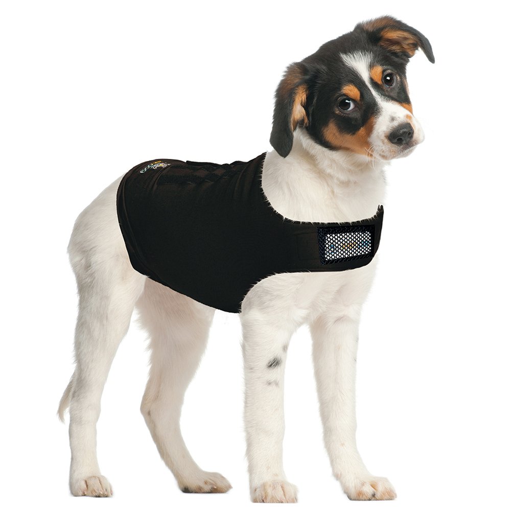 Zendog Calming Shirt