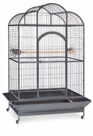 Bono Fido Silverado 44 Cage