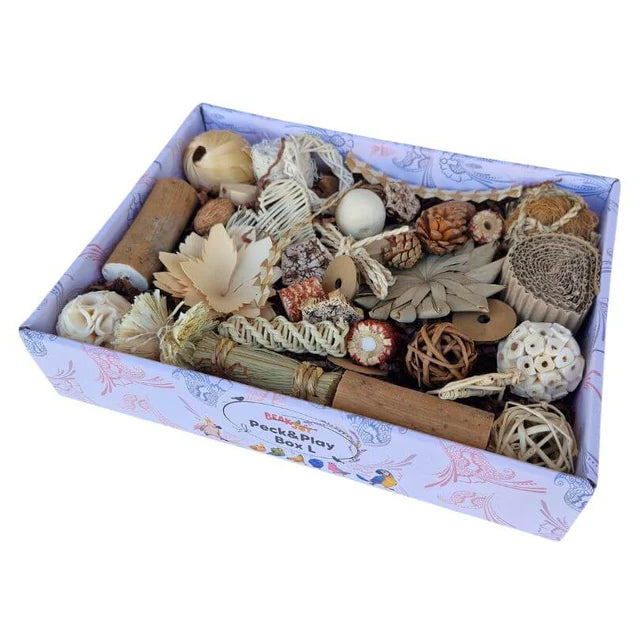 Beak Joy Peck and Play Forage Box