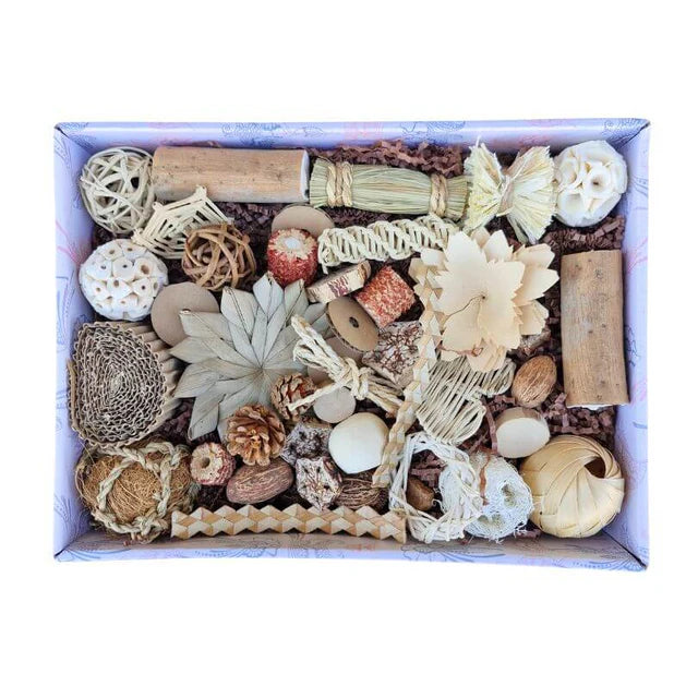 Beak Joy Peck and Play Forage Box