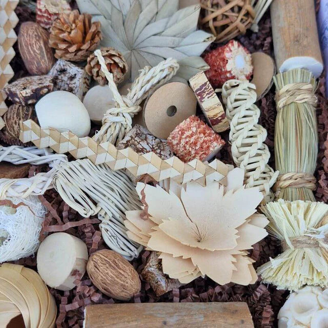 Beak Joy Peck and Play Forage Box