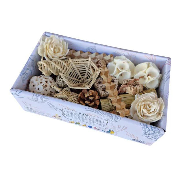 Beak Joy Peck and Play Forage Box