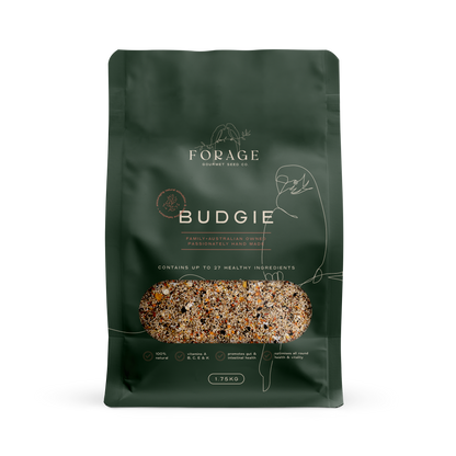 Forage Gourmet - Budgie
