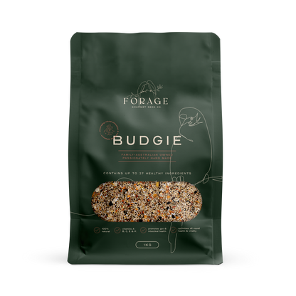 Forage Gourmet - Budgie