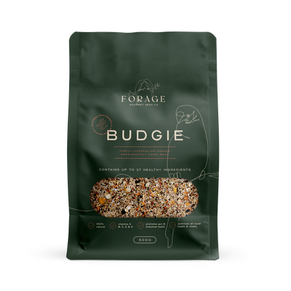 Forage Gourmet - Budgie
