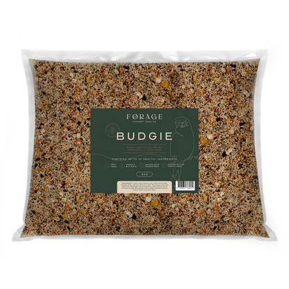 Forage Gourmet - Budgie