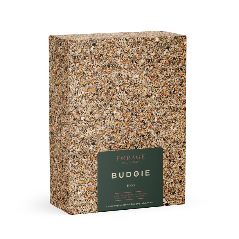Forage Everyday - Budgie