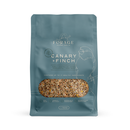 Forage Gourmet - Canary & Finch
