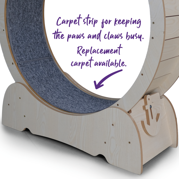 Kazoo Cat Workout Wheel