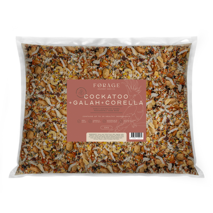Forage Gourmet - Cockatoo & Galah & Corella Mix