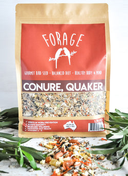 Forage - Conure & Quaker Seed Mix