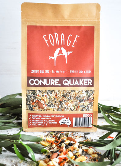 Forage - Conure & Quaker Seed Mix