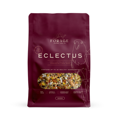 Forage Gourmet - Eclectus