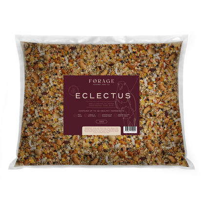 Forage Gourmet - Eclectus