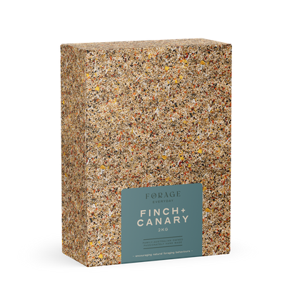 Forage Everyday - Finch & Canary