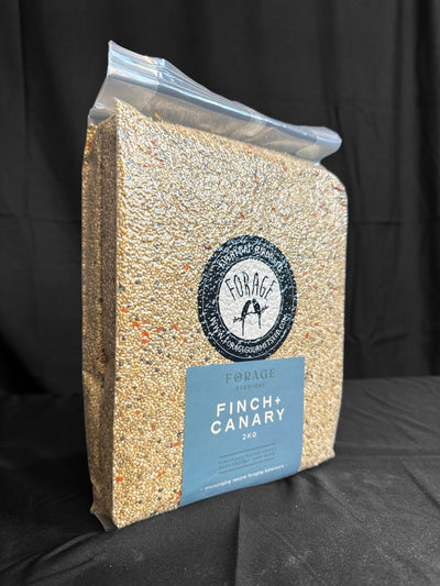 Forage Everyday Finch & Canary Blend