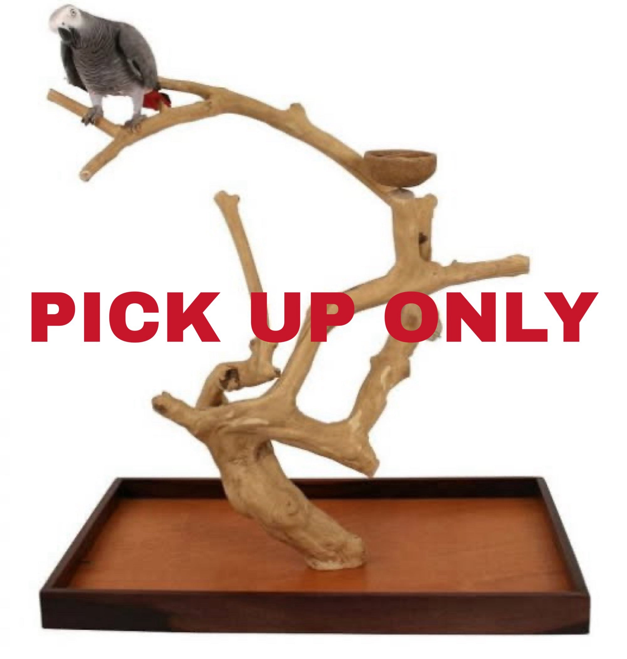 Java Tabletop Tree - Store Pick Up Only