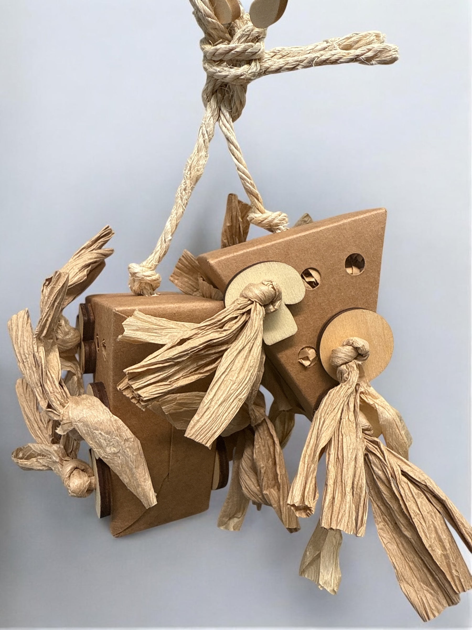 Shredder Pizza Box Twin Medium - 24x14x4.5cm