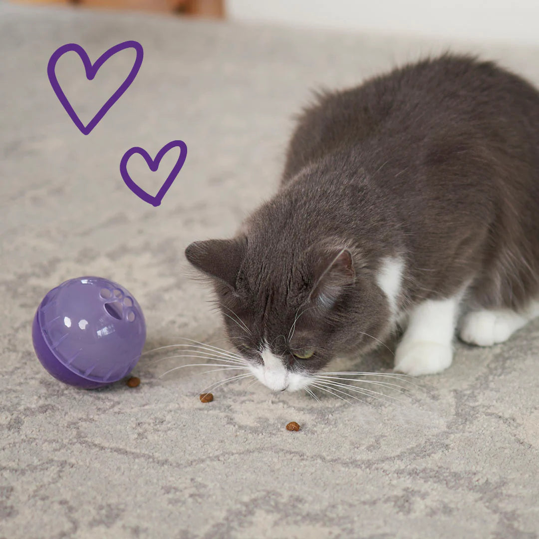 Kitty Treat Ball