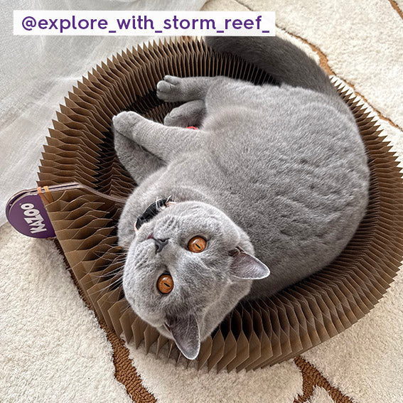Accordion Bed Scratcher