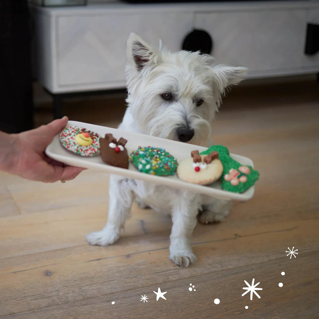 Christmas Rudolph Yoghurt Dog Cookie