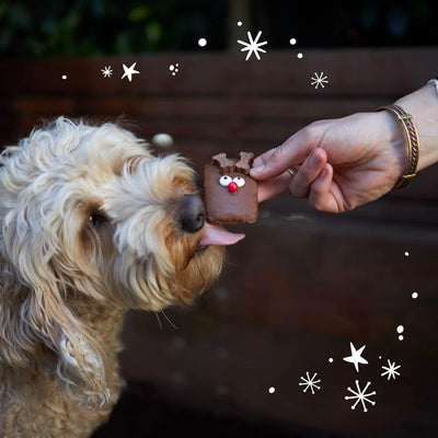 Christmas Rudolph Carob Dog Cookie