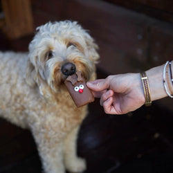 Christmas Rudolph Carob Dog Cookie