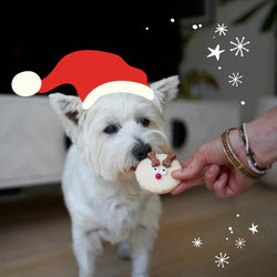 Christmas Rudolph Yoghurt Dog Cookie