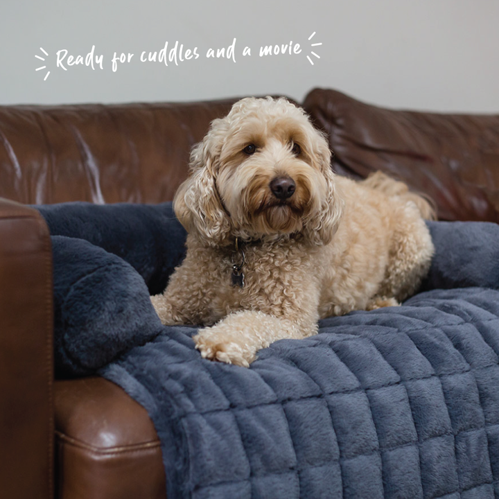 Kazoo 3-in-1 Couch n’ Car Cover Pet Bed