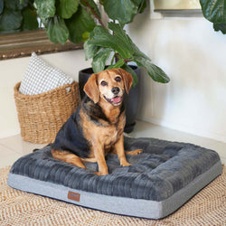 Dark Cloud Comfort Bed