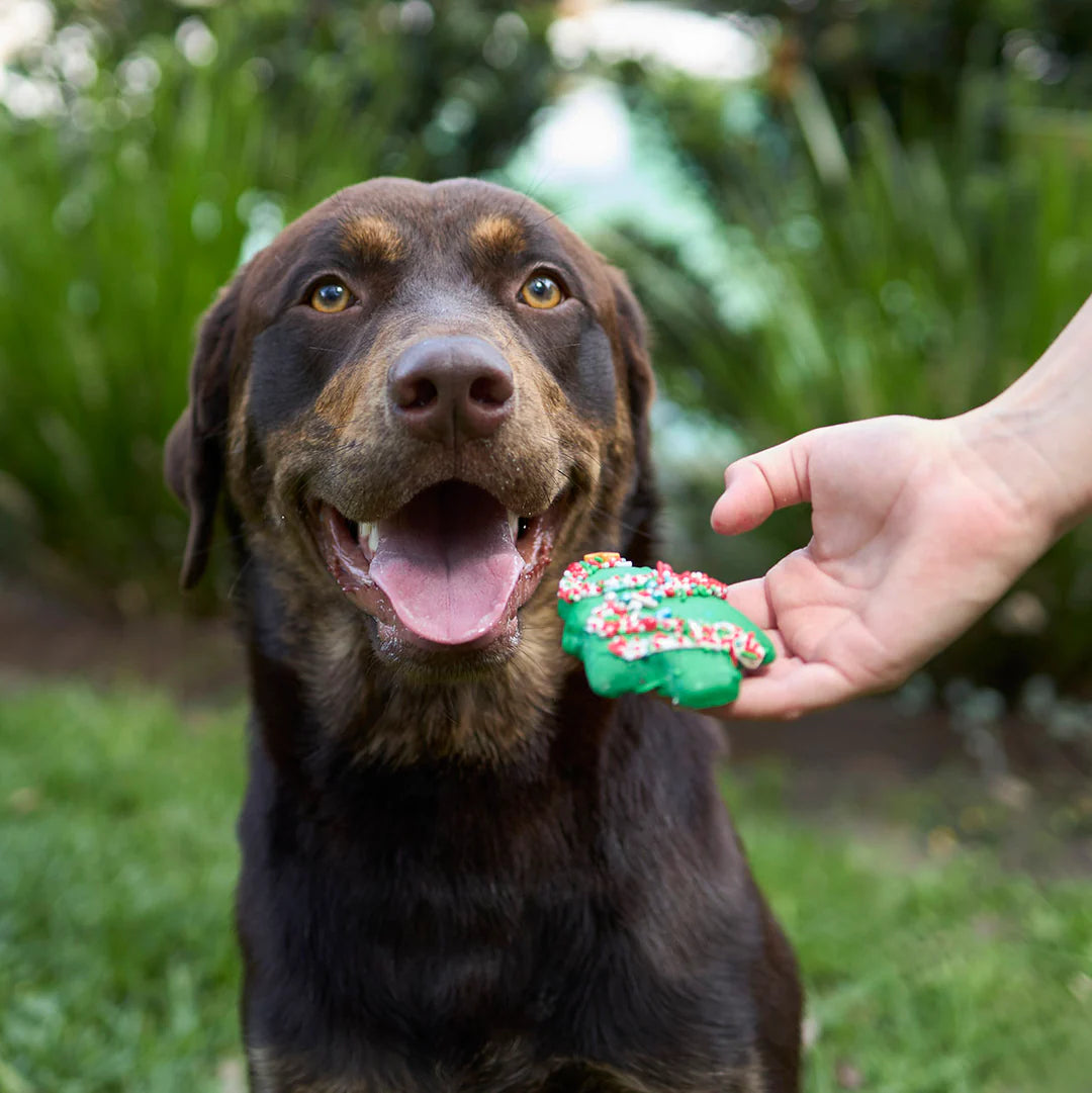 Christmas Tree Dog Cookie