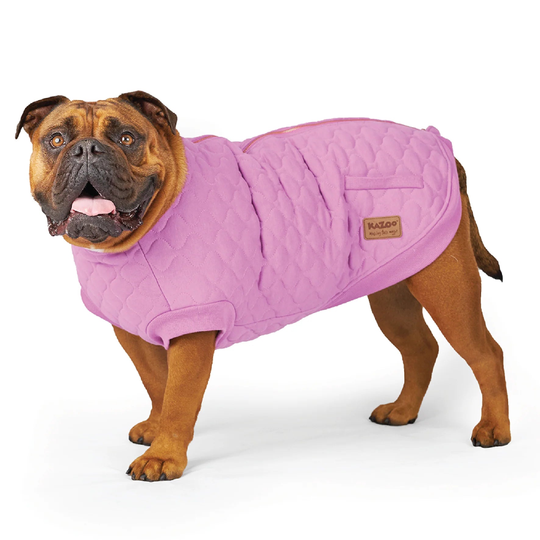 Pink Petal Dog Jacket