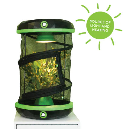 Insect Light Capsule