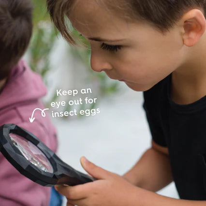 Stick Insect Inspector Magnifying Glass