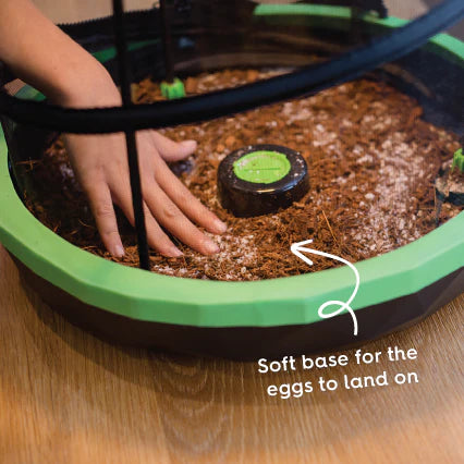 Stick Insect Substrate Stick Insect Enclosure Substrate