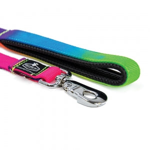 Soft Padded Leash 1" x 6' Rainbow (183cm)