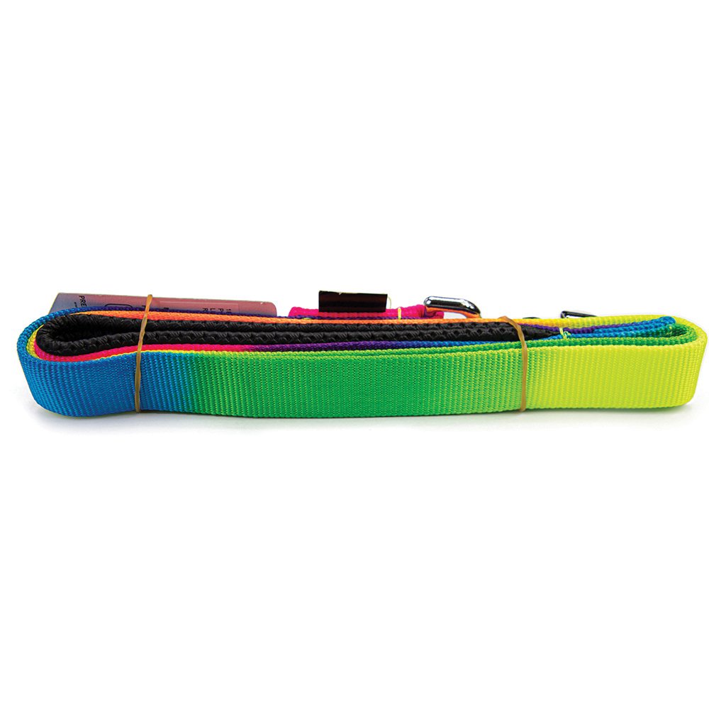 Soft Padded Leash 1" x 6' Rainbow (183cm)