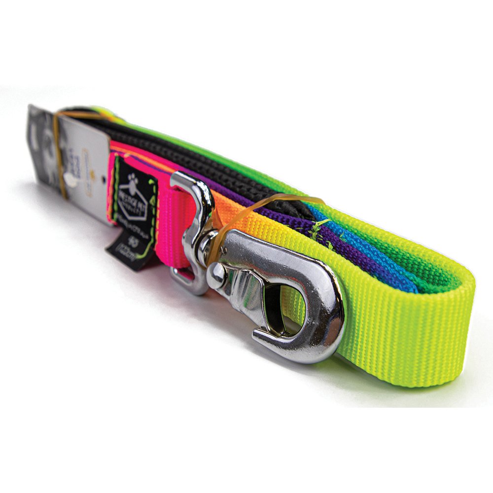 Soft Padded Leash 1" x 6' Rainbow (183cm)